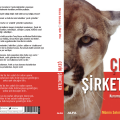çevik şirketler