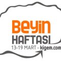 beyinhaftasi3